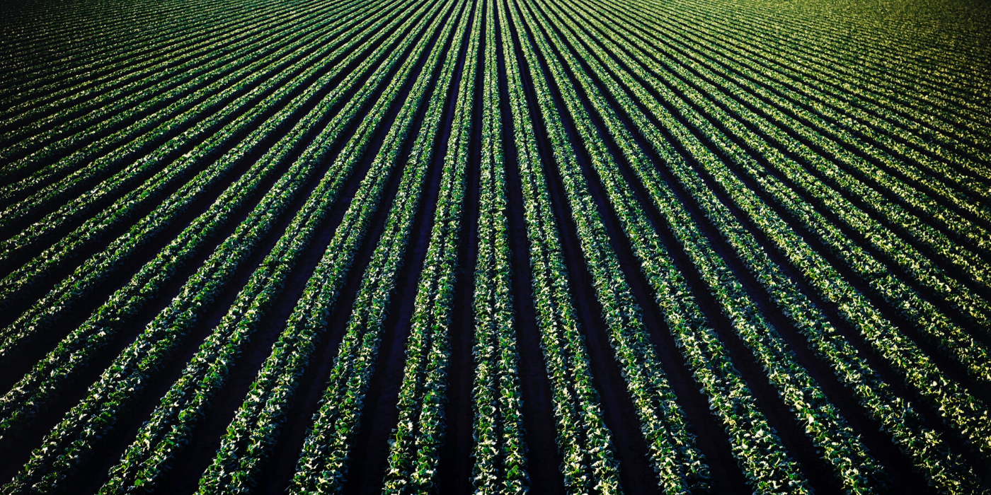 Future Crops: Resources