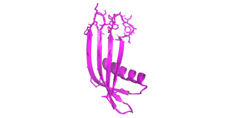 New way for scientists to see how cells move