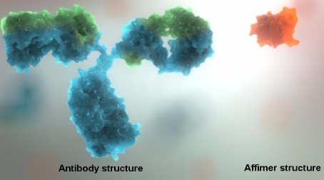 Better tools to study the processes of life