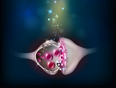 Molecular neuroscience theme