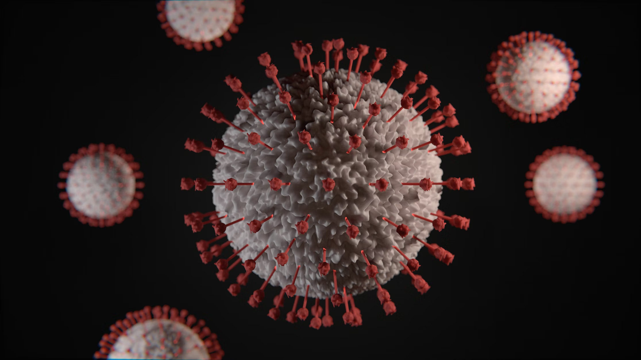 New COVID-19 variants could emerge from animals or from people with chronic infections – but it’s not cause for panic