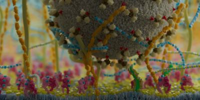 A Design for Life: Meet the organiser and host of the Astbury Conversation public engagement event