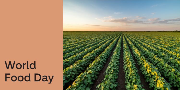How our food research supports better food futures