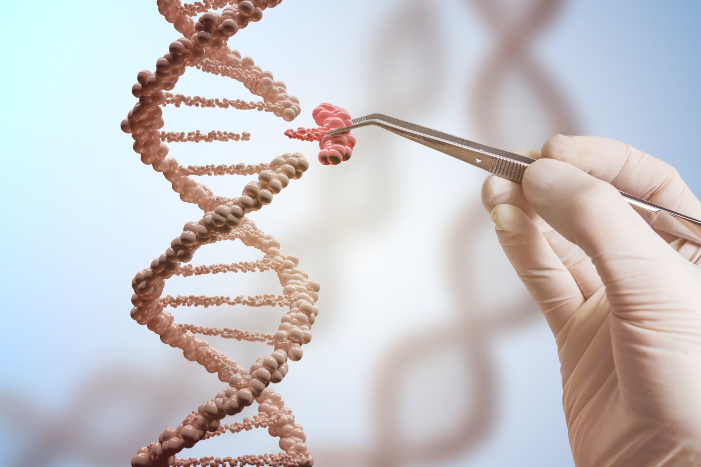 Genetic engineering and gene manipulation concept
