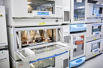 Protein Production facility - Maxq800