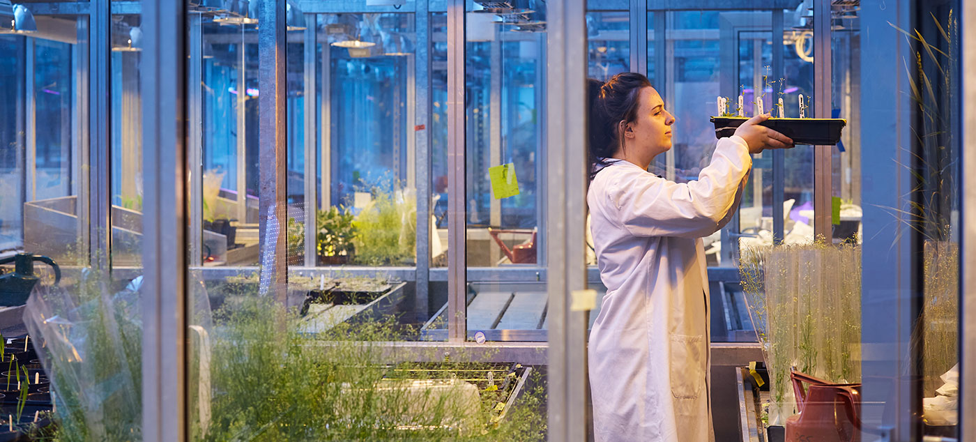 Plant growth suite at the University of Leeds