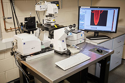 Inverted Microscope