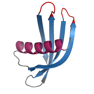 Cystatin