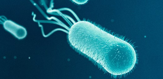Antibiotic resistance could help find drugs for some of the most intractable diseases