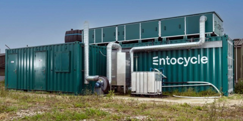 A green container unit with the words &#039;Entocycle&#039; written on it