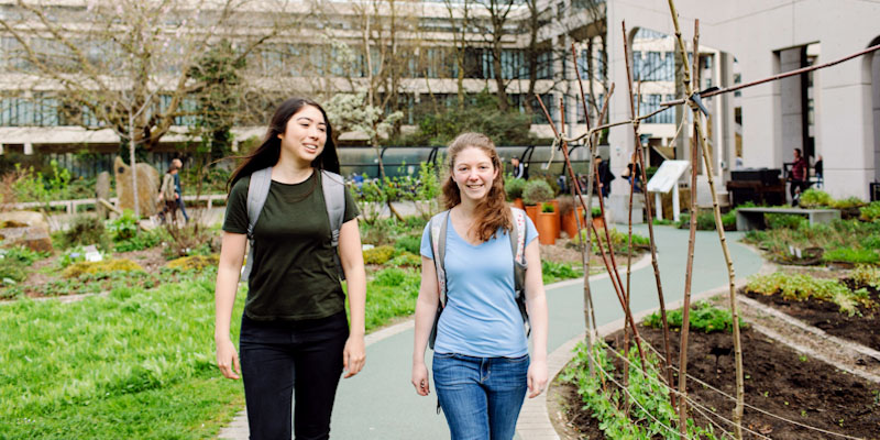 International students walking through sustainable gardens