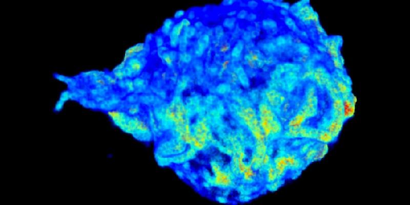 Advanced imaging shows real-time molecular interaction