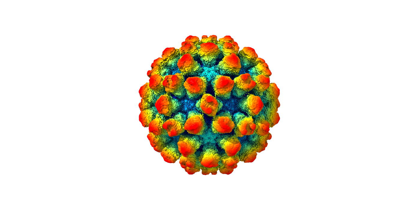 The architecture of a “shape-shifting” norovirus