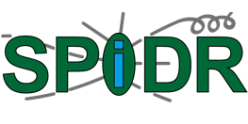 Logo 
SPIDR is written in green letters. Every letter is capitalised other than the middle i which is also in blue.