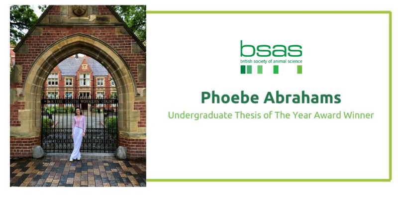 bsas undergraduate thesis of the year