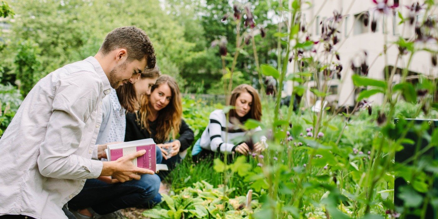 Students studying plants in the sustainable garden on campus