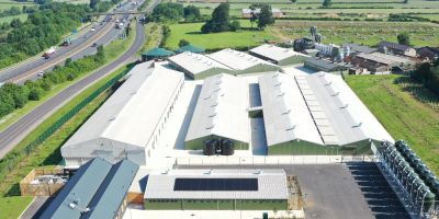 Overhead view of the Centre for Innovation Excellence in Livestock's National Pig Centre.