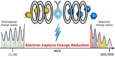 21,000 - 200,000 mz
Electron Capture Charge Reduction