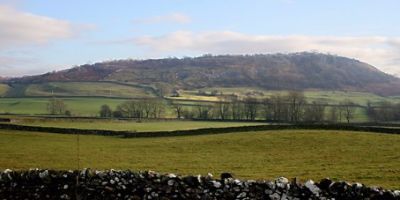 A former MSc student of the Faculty of Biological Sciences has helped the Yorkshire Dales National Park with its tree planting strategy.