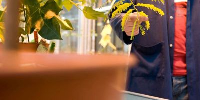 From leaf pores to parasites: Symposium showcases plant science research 