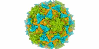 A research team led by Prof Dave Rowlands has developed a groundbreaking vaccine against poliovirus using plants.