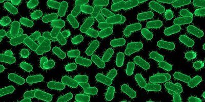 Graphical representation of e coli cells