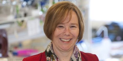 Leeds academic Professor Sheena Radford wins prestigious Centenary Award from the Biochemical Society 