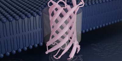 A protein that self-assembles into an artificial pore. Image courtesy: Institute for Protein Design