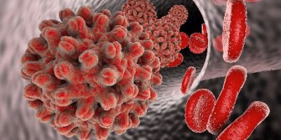 A major new insight into how Hepatitis B Virus works could pave the way for new drug treatments for the infection which is the major cause of liver cancer worldwide.