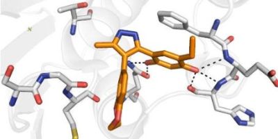 A new approach has been developed to combat diseases caused by herpesvirus infections, including everything from cold sores to cancer.