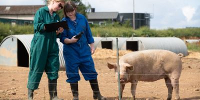 University of leeds farm