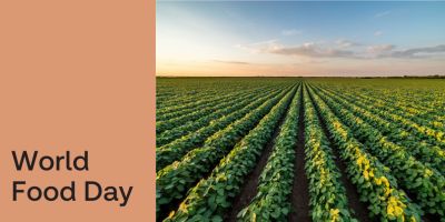 How our food research supports better food futures