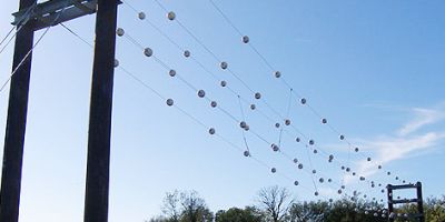 Bat gantries which aim to protect bats and other wildlife from busy roads