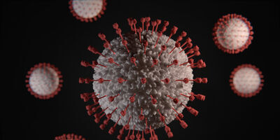 Picture of the COVID-19 viruses