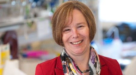 Prof Sheena Radford announced as 2018 Biophysical Society Fellow