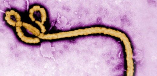 Researchers to use supercomputer to "hack" Ebola