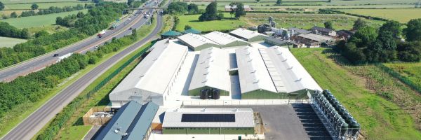 Overhead view of the Centre for Innovation Excellence in Livestock's National Pig Centre.