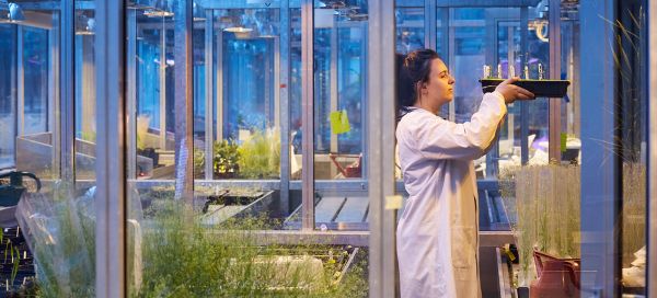 Plant growth suite at the University of Leeds