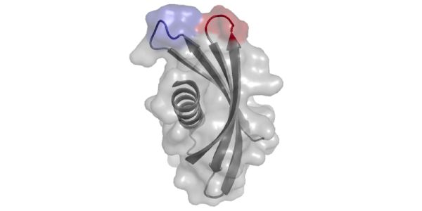 Illustration of Adhiron technology Darren Tomlinson