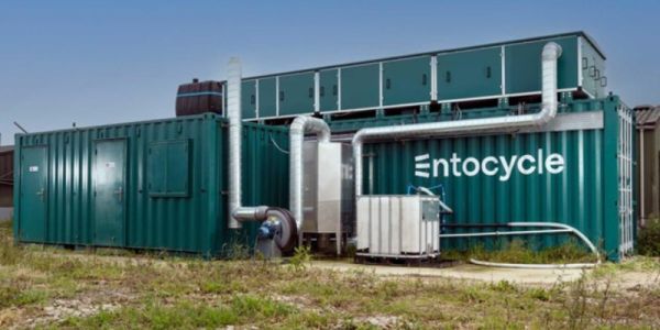 A green container unit with the words 'Entocycle' written on it
