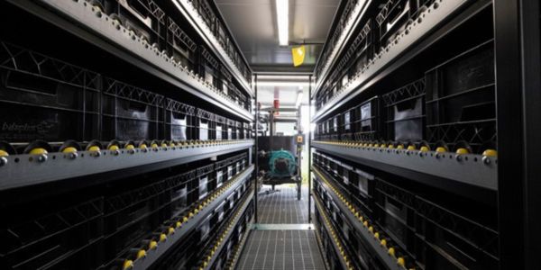 Inside the insect unit. Rows of steel shelves line the sides of the unit.