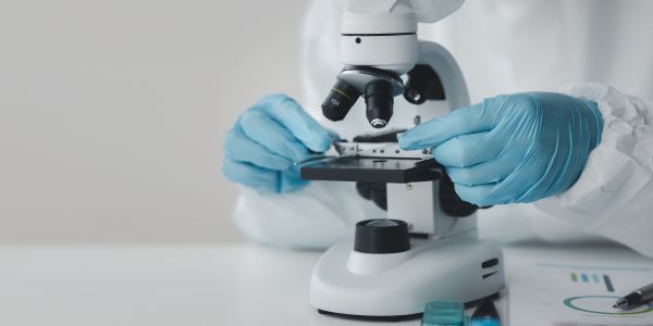 Microscope