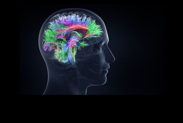 Neuroscience research in the faculty of biological sciences