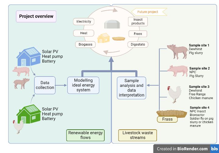 For the renewable energy stream:

Solar PV/Heat pump/battery

This data will be inputted into a modelling ideal energy system

 

 

For the livestock waste streams:

Sample analysis and data interpretation

 

4 samples sites;

2 for pig slurry; Dewhirst