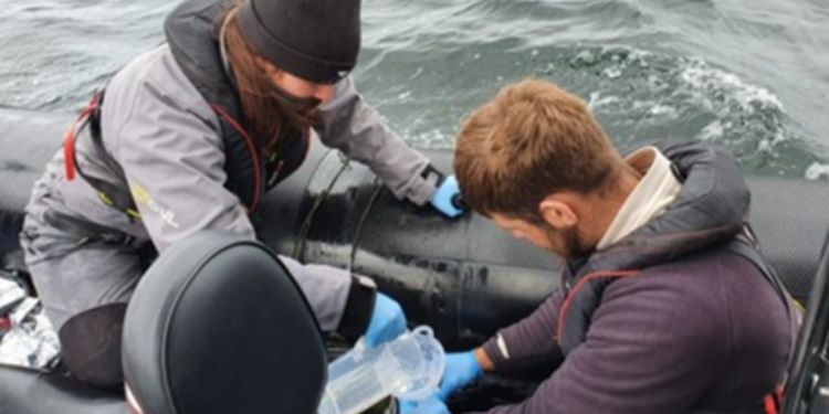 Dr Elizabeth Boyse (left) and Ciaran Dolan (right) collect sea water samples in plastic buckets.