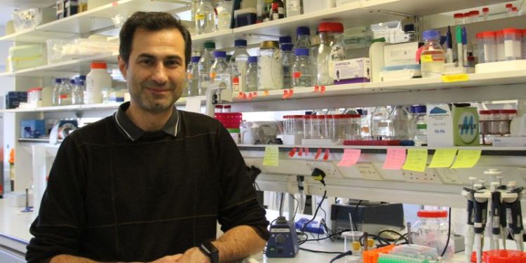 Professor Elton Zeqiraj