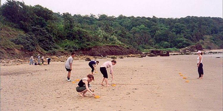 A group of students working at the beach