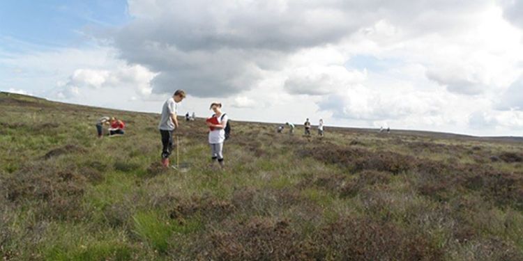 A group of students working on the moor