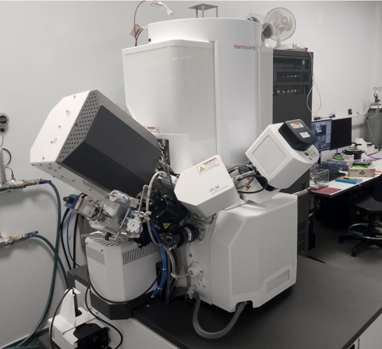 The FIB-SEM within the Astbury Biostructure Lab