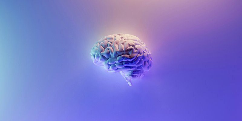 Computerised image of brain